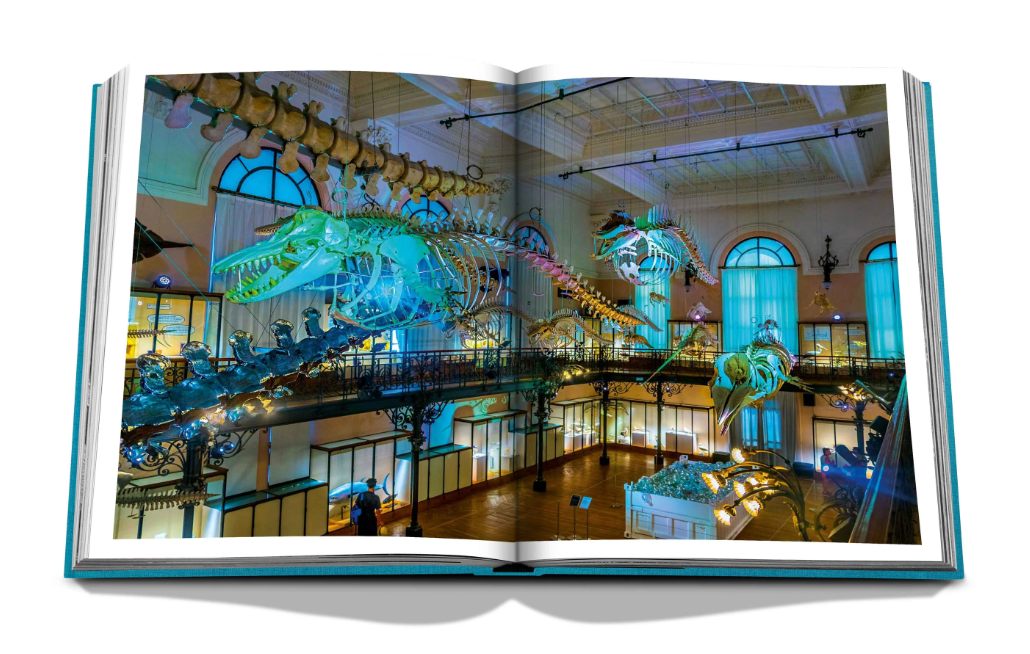 LIVRE MONTE CARLO