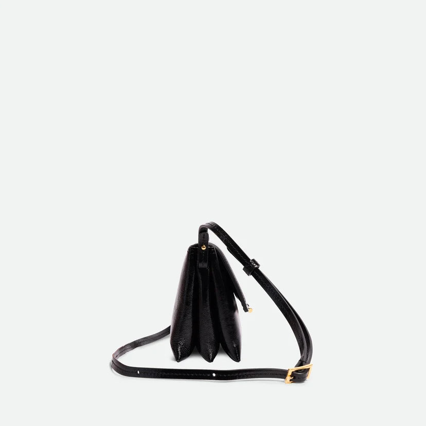 Sac Ida Trio
