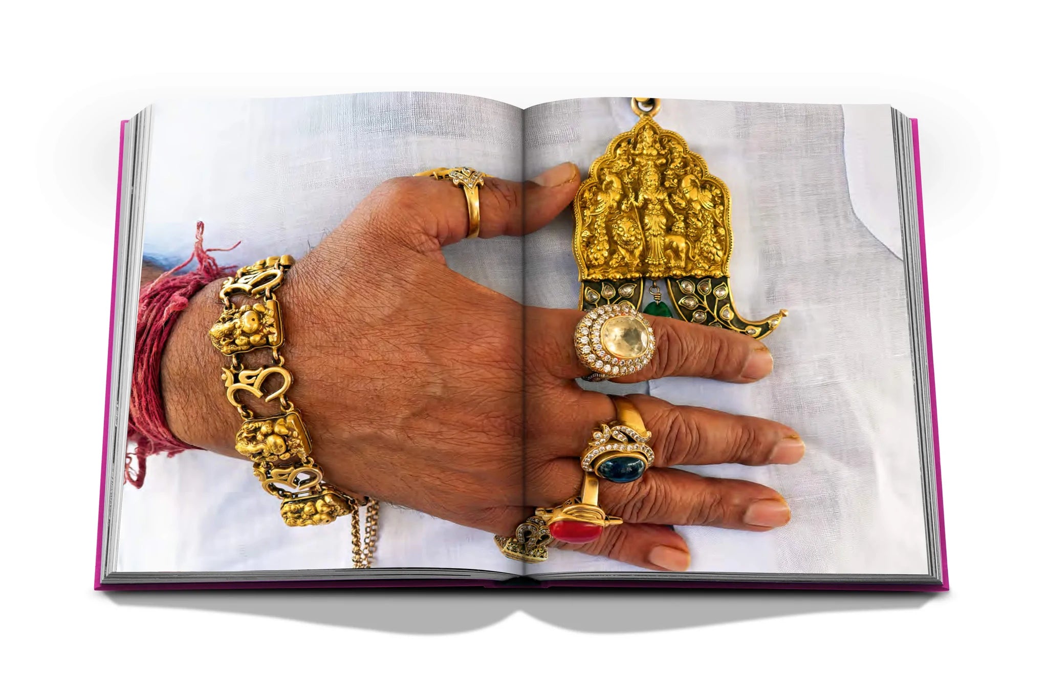 LIVRE JAIPUR SPLENDOR