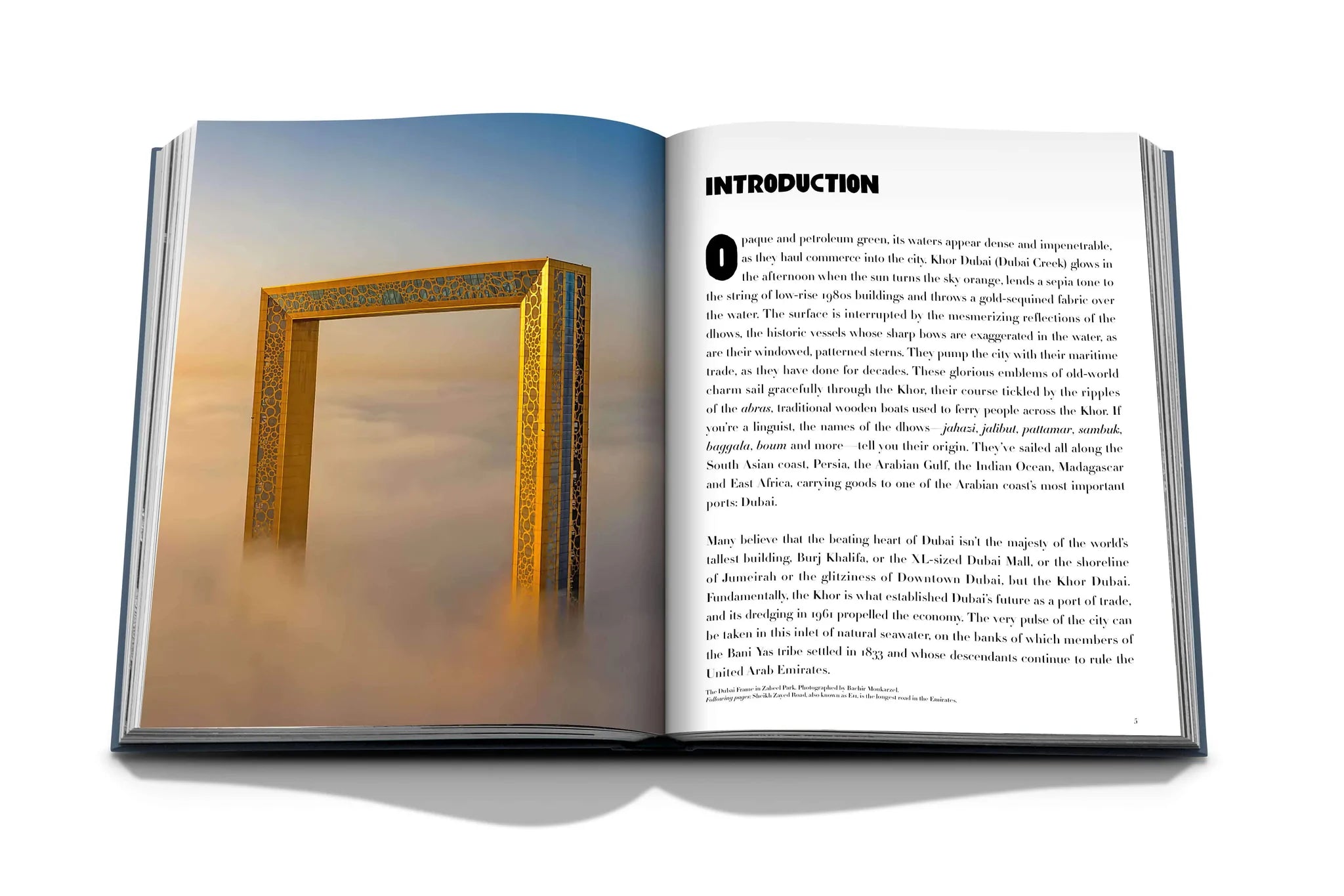 LIVRE DUBAI